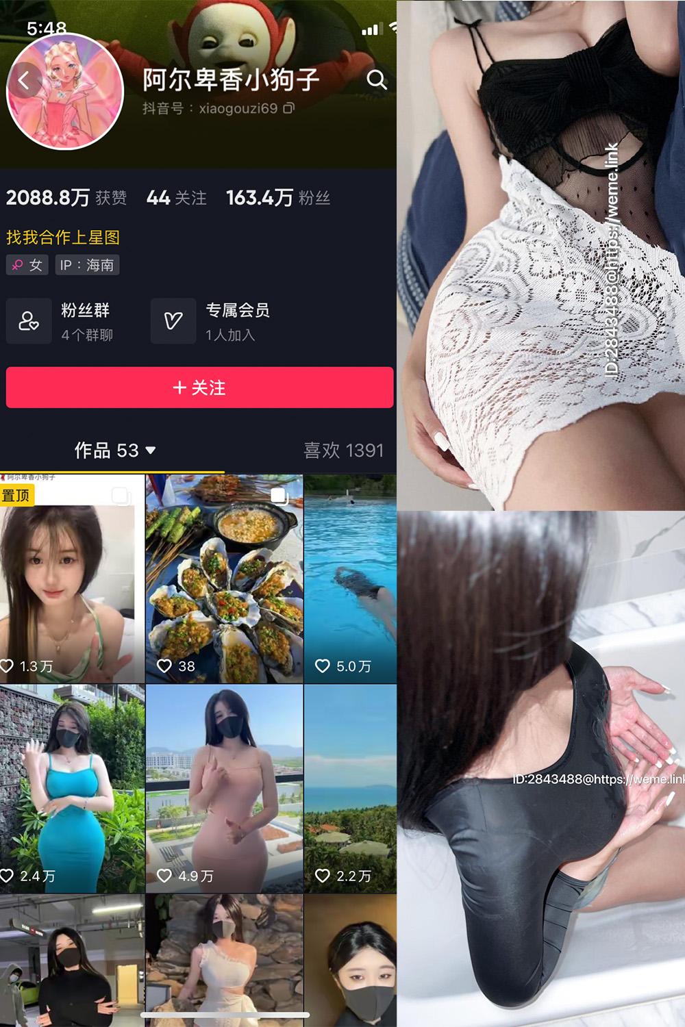 抖音 阿尔卑香小狗子 微密圈  NO.011期 【36P1V】最新至：2023.7.6