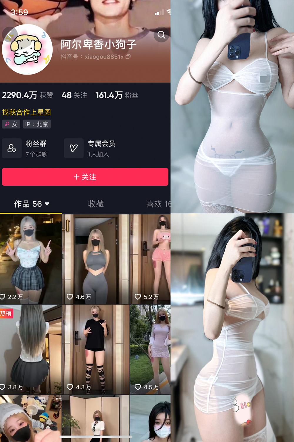 抖音 阿尔卑香小狗子 微密圈  NO.028期 【33P】最新至：2023.10.1
